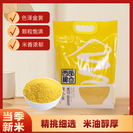 黄小米新米陕北优质油小米陕西延安农家五谷杂粮米油如脂醇厚绵密