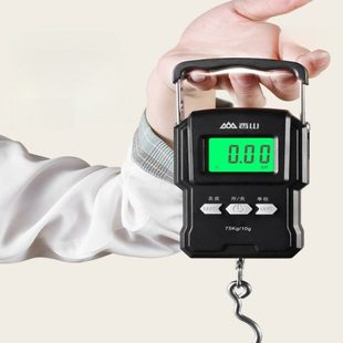 手提电子秤便携式精度家用弹簧秤快递称买菜小型香山手提秤