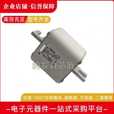 170M6301/6302/6303/6304/6305/6306/6307全新熔断器现货