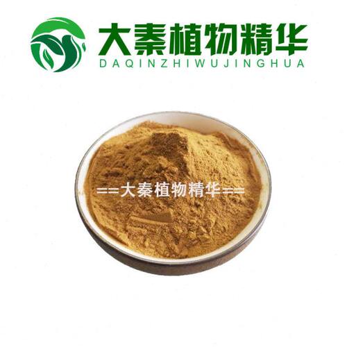菟丝子提取物 无根藤菟丝子浓缩提取物30:1 菟丝子多糖菟丝子皂甙