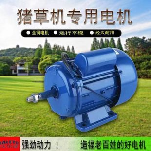切草机电机220V二相电纯铜电动机小型家用猪草机铡草机马达