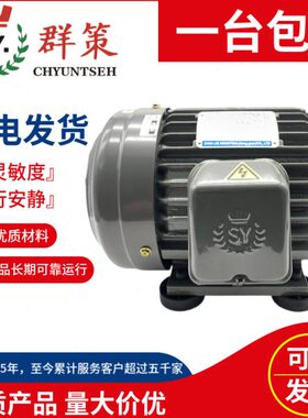 台湾SY群策C05-43BO C02/C01/C7B/C10 -43BO内轴电机 3.75/2.25KW