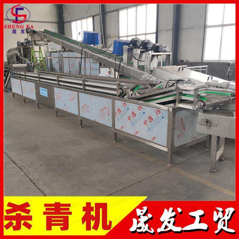 晟发牌花椒蒸汽杀青机 杏鲍菇水煮漂烫流水线 全自动连续杀青设备