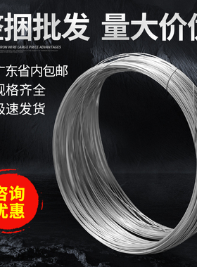 镀锌铁丝铁线扎丝扎线手工d筑y防锈工地建i细铁丝线8号整捆量大