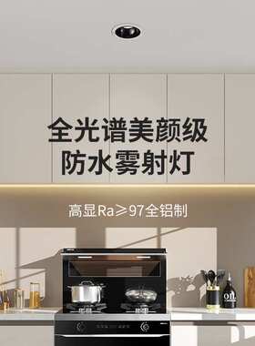 LED筒灯嵌入式防眩孔灯窄边防水防雾过道灯客厅无主灯天花灯 429L