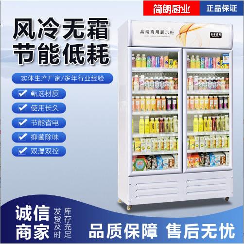 啤酒柜展示柜商用冷饮柜超市酒吧保鲜柜饮料冰柜冷藏单双门展示柜