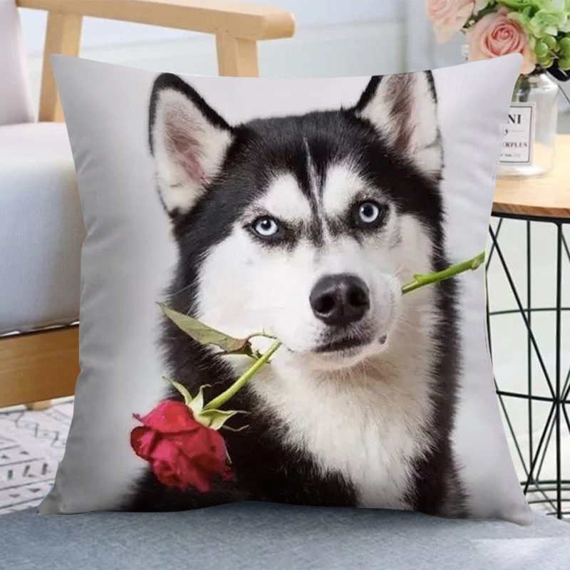 哈士奇抱枕二哈表情包被子两用搞怪男生宠物枕头双U面照片沙发靠