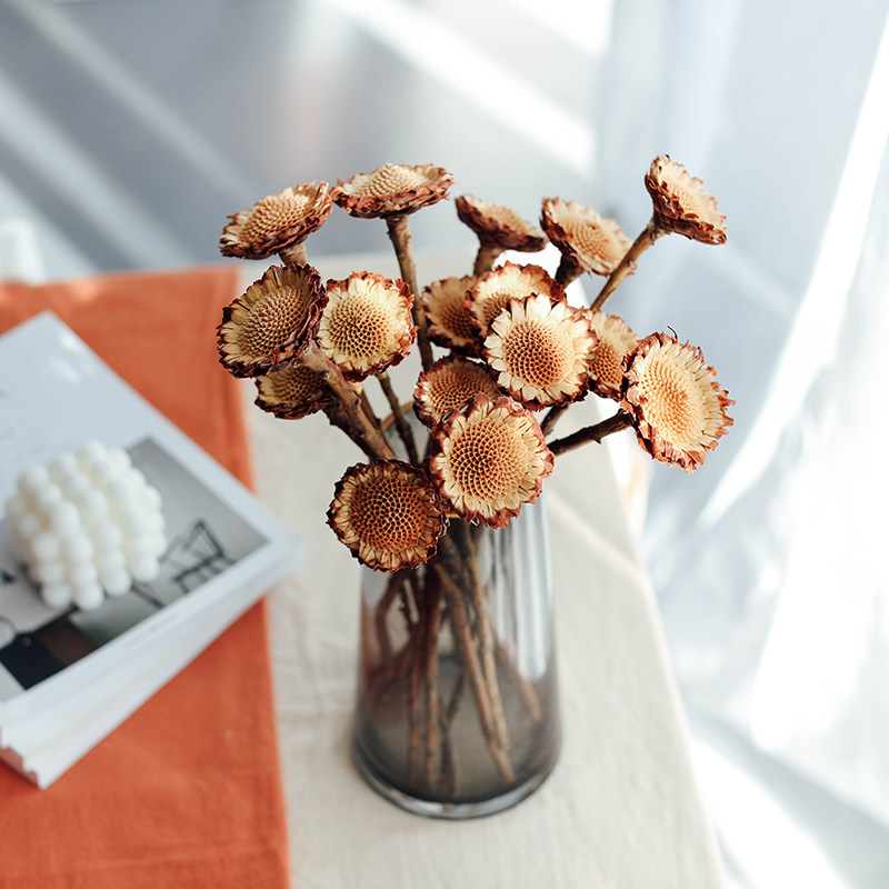 进口太阳朵高级干花真花木本植物酒吧民宿店铺新年装饰Z摆件干燥