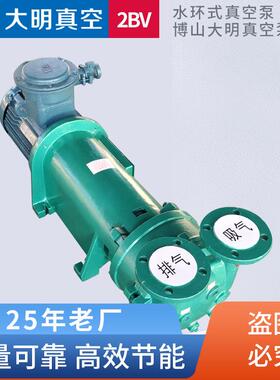 厂供2BV6110/6111/6121/6131/6161防爆水环式真空泵 不锈钢真空泵