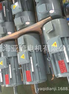 IFGEJ-50-0.25-2刹车电机 Motor