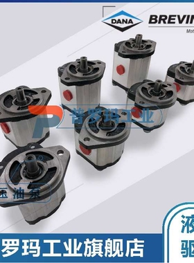 BREVINI油泵OT200P08D/P28P2 G28 B25B2 B23 B25B4 B5 B24B6 B7