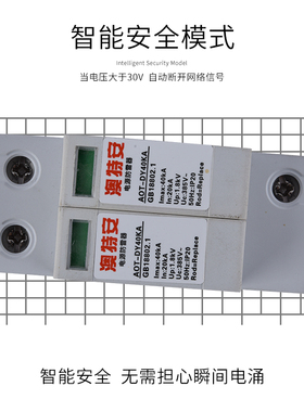 电涌保护器 防雷 单相 220V家用2P 60KA 浪涌保护器 避雷器 打雷