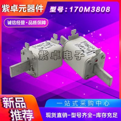 伊顿巴斯曼熔断器170M系列170M2691 170M2692 170M2693保险丝