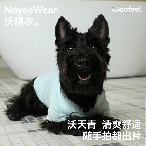 woofeel沃糯衣狗狗家居服早秋新品莫代尔青色宠物睡衣小狗空调服