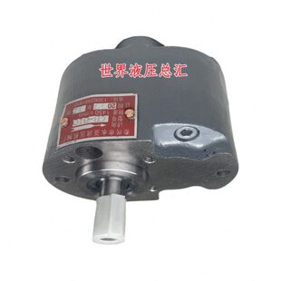 B80 125F齿轮油泵小型TH B16 B32 B40 B25 B20 B63 B50 B10