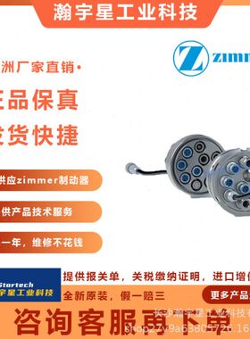 德国 ZIMMER WER3000LSI12-00导轨锁导轨钳制器