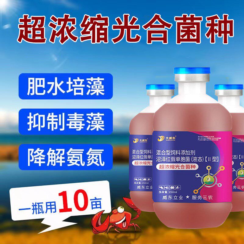 光合菌种净化氨产养殖鱼虾蟹泥鳅低盐水培降解氨降水氮亚温化氢