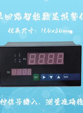 KCXM-2011P1S KCXM-2011P3S KCXM-2011P2S智能数字显示报警仪