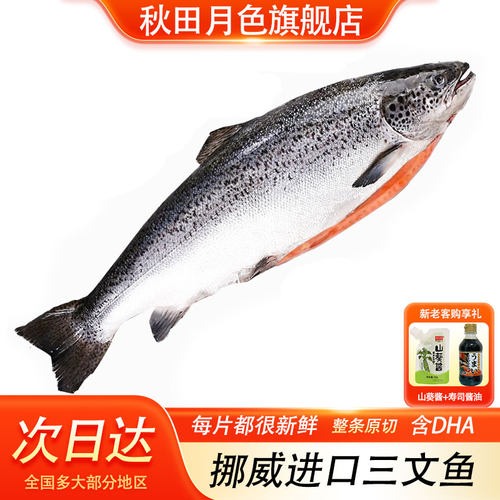 挪威进口冰鲜三文鱼整条刺身即食