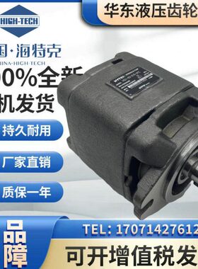 海特克HG0-08/10/13/16/20-01R-VPC伺服油泵HG1-63/50/40-01R-VPC