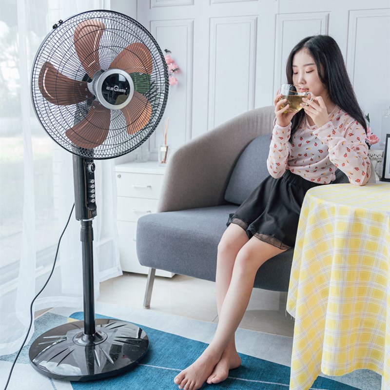 冠凌电风扇家用18寸立式机械式金属五叶大风力节能工业摇头落地扇