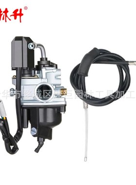 林升PHVA 50 50cc 12mm 17.5 MM DIESIS 带电子启动器