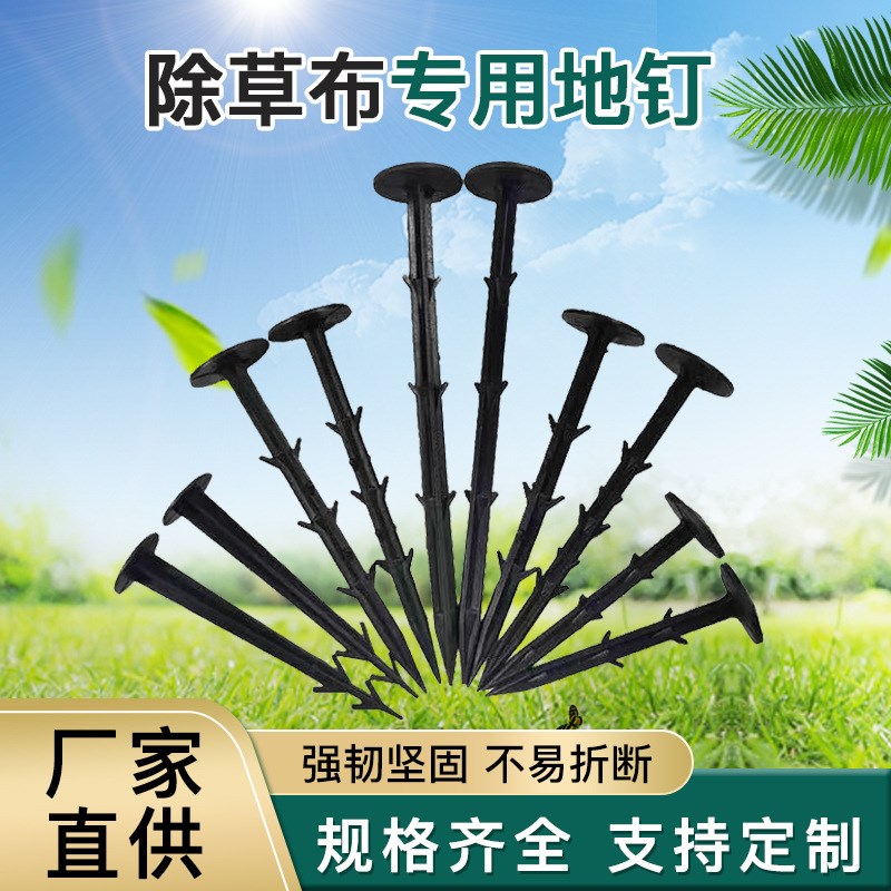防草布地钉果园大棚农用户外园艺除草布倒刺塑料钉子地膜固定地钉
