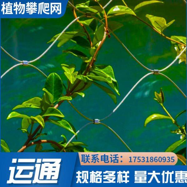 【穿插不锈钢绳网】A濮阳植物攀爬编织绳网A304植物攀爬穿插绳网,五金/工具,安全网,淘宝优惠券,粉丝福利购,淘宝优惠卷