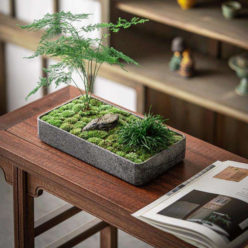石头盆花盆家居新中式摆件微景观玄关桌面大理石整石雕刻花盆石盆