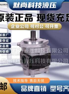 合肥赛源齿轮泵CBHZA-F23/F25/F28.2/F30/F32/F36/-F40-AFR 油泵