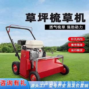 电动梳草机 人造草坪手推充沙机 手推式大功率天然草皮坪梳理机