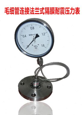 毛细管隔膜压力表法兰连接耐震压力表软连接隔膜表YBN150 1.6MPA