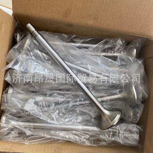 重汽HOWO T7H 汕德卡C7H C9H TX 配件出口 200V04101-0546 排气门