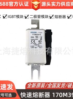 全新快速熔断器170M3975  170M4009 170M4010电子元器件 量大价优
