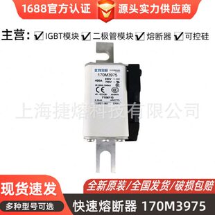 全新快速熔断器170M3975  170M4009 170M4010电子元器件 量大价优