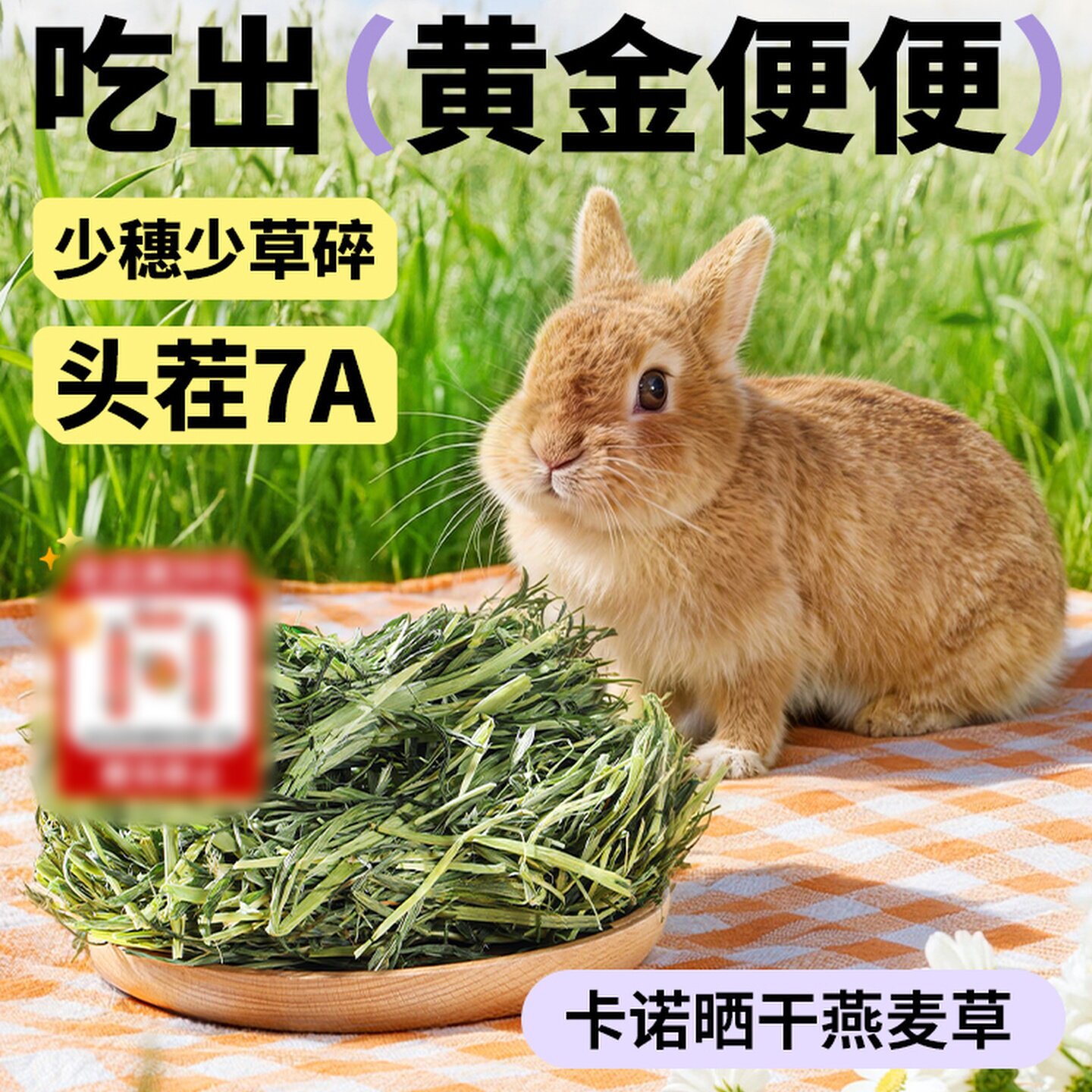 瑞贝斯燕麦草头茬晒干黄金配比