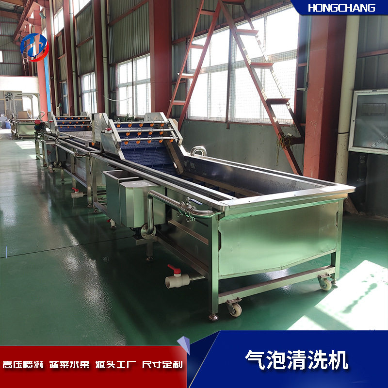 百香果清洗机 全自动洗菜设备  高压喷淋大枣清洗线