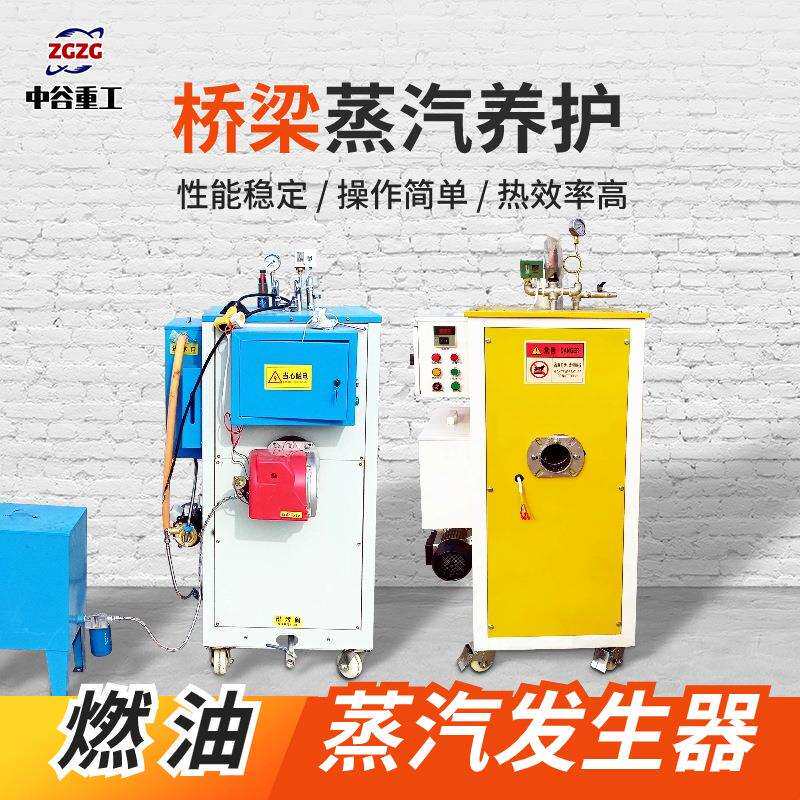 燃油蒸汽发生器 小型喷涂蒸汽设备 桥梁养护工业商用 操作简单