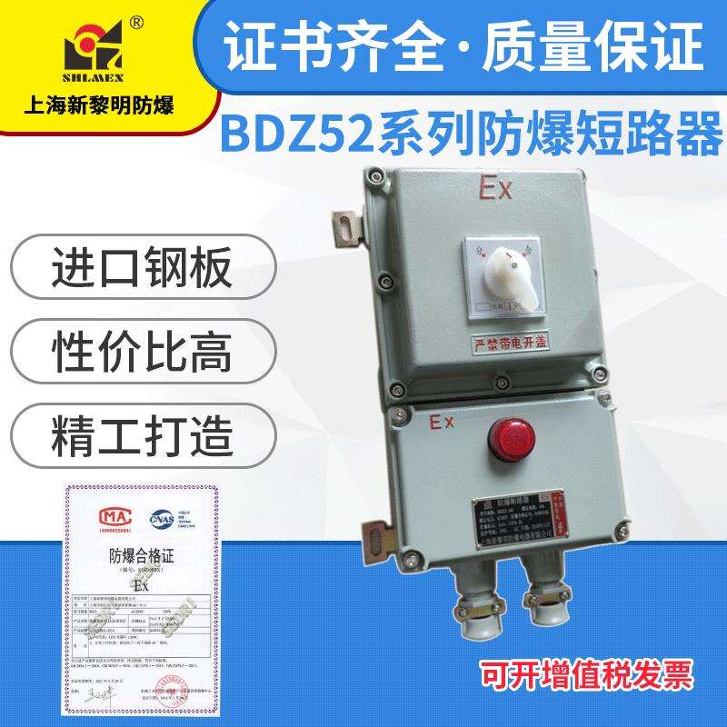 防爆断路器空气开关漏保控制箱 BDZ52-40A 新黎明防爆断路器