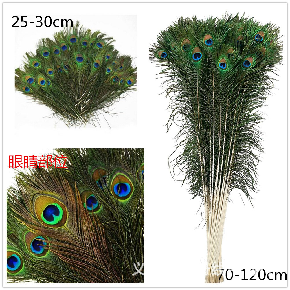 羽毛厂家直供25-120cm优质孔雀羽毛摆设插花装饰天然简约婚礼礼品