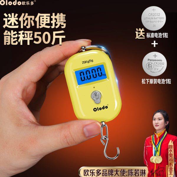 精准手提电子秤高精度随身秤小秤弹簧秤买菜便携称迷你勾称挂钩秤