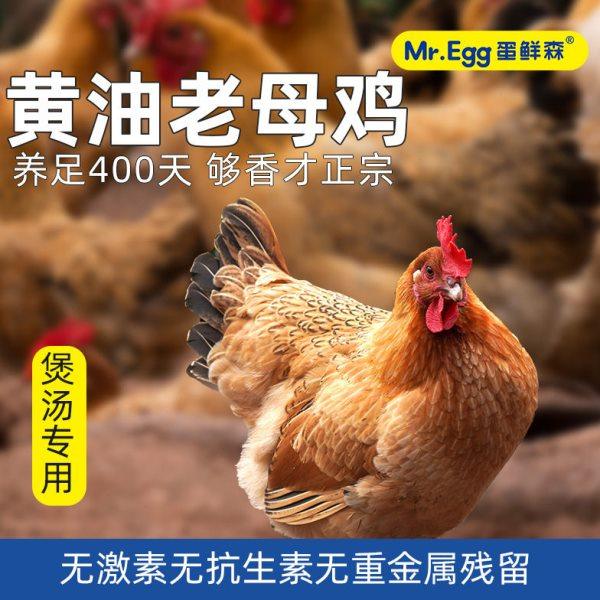 蛋鲜森黄油老母鸡2只装(套无抗彩)+650g童子鸡1只装(不套彩)其他,商业/办公家具,骨灰盒,淘宝优惠券,粉丝福利购,淘宝优惠卷