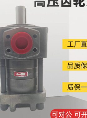 NT2-G10F G12F G16F NT3-G20F G25F G32F NT4-G40F G50F G63F油泵