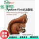 Vasiliki 正版 基于ApacheFlink Fabian Kalavri 旧书 社 中国电力出版 流处理 Hueske 9787519840112