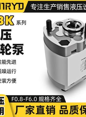 齿轮泵CBK-F179/F130/F116/F140/F148/F153/F158/F125/F110/F132