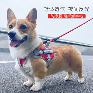 背基式引狗牵狗绳子柯心金毛用品大中小型犬防脱伸缩遛狗绳狗链子