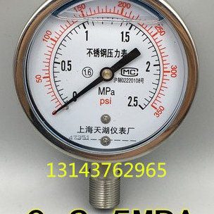 耐高温防腐不锈钢耐震压力表YN-100BF 2.5mpa 350PSi YN100BF-2.5