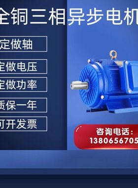 全铜电机YE3-90L-4 0.55/0.75/1.1/1.5/2.2kw380VYE2-90L-2国标