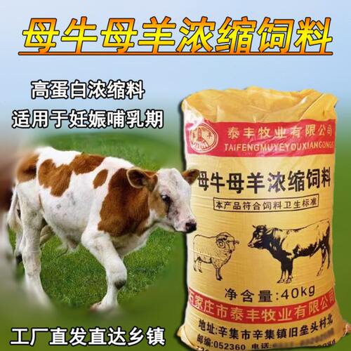 母牛母羊专用浓缩料妊娠哺乳期浓缩料肉牛羊育肥浓缩料快速育肥料