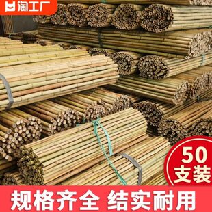 竹竿 搭架子2米长一根实心支撑杆蚊帐竹竿晾衣杆菜园搭爬藤架